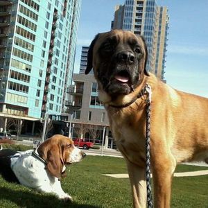 Meet your Posher, Sabrina